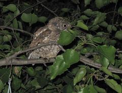 Img_0586